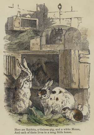 Here are Rabbits, a Guinea-pig, and a white Mouse, And each of them lives in a snug little house (coloured engraving)