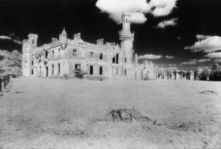 Ducketts Grove, Carlow, County Carlow, Ireland (b/w photo)