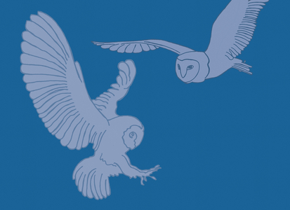 Barn Owls, 2017 (Digital)
