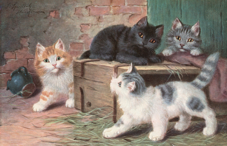 Cat postcard (colour litho)