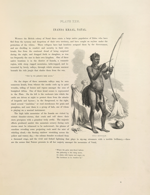 Zulu musician
