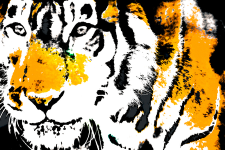 Year of the Tiger (3), 2021 (painted photograph)