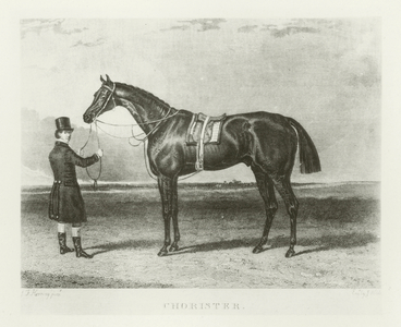 Chorister, foaled 1828 (b/w photo)