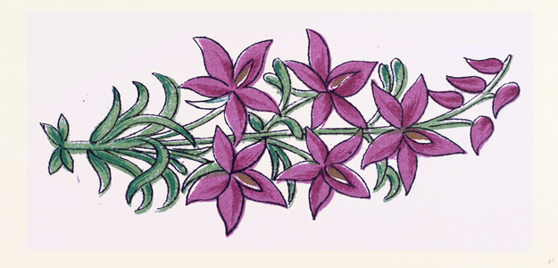 Persian Ornament