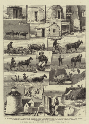 Sketches from a Prairie Farm in Minnesota, USA (engraving)