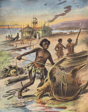 Hunting sea turtles (colour litho)