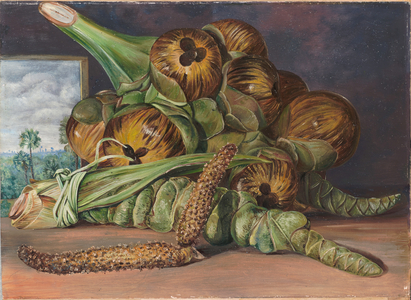 Flowers and fruit of the palmyra, and the palm seen through a window, Java, 1876 (oil on board)