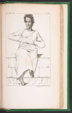 Plate VII, from 'Des maladies mentales, considerées sous les rapports médical, hygienique et médico-légal', by Jean Etienne Dominique Esquirol, 1838 (engraving)