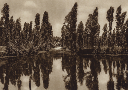 Mexico: Xochimilco con los asi llamados "Jardines flotantes" (b/w photo)