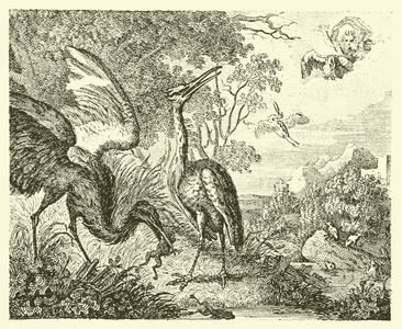 The frogs desiring a king (engraving)