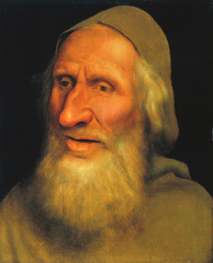 Head of an Old Man, c.1525 (oil on panel)