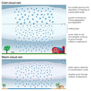 Types of rain