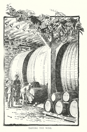 Tasting the Wine (engraving)