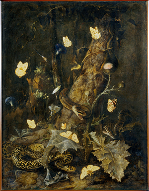 Serpents et papillons …