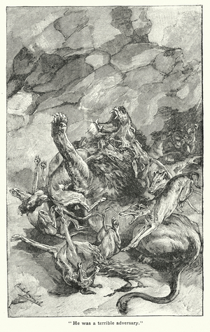 Lion killed by dogs (litho)