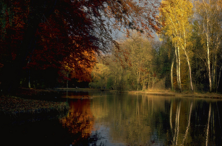 English Garden in Munich, 1997 (photo)