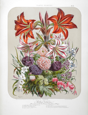 A bouquet of flowers including lilies