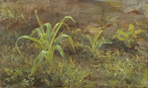 Young Allium, 2006 (temperaand oil on panel)