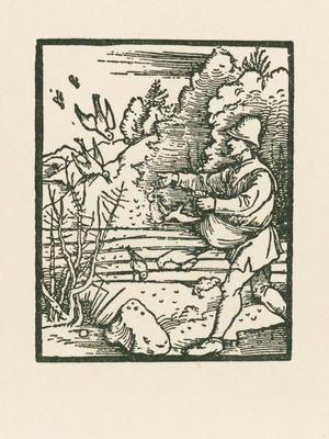 The Parable of the Sower, 1510 (woodcut)