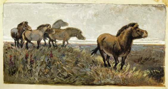 Przewalsky Horses, 1938 (gouache on paper)