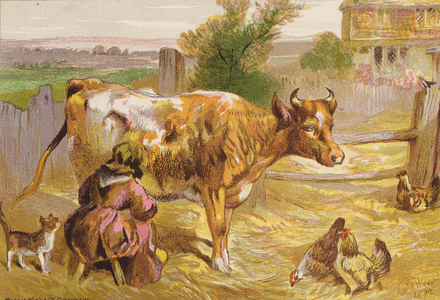 Old Nancy Milking the Cow (colour litho)