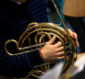 Horn player hands on his instrument, 2014 (photo)