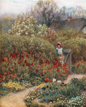 Wallflowers (colour litho)
