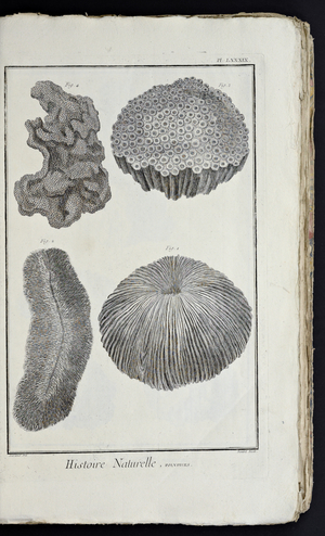 Recueil de planches, sur les sciences, les arts libéraux, et les arts méchaniques, avec leur explication by Diderot, Denis, 1762 (print)