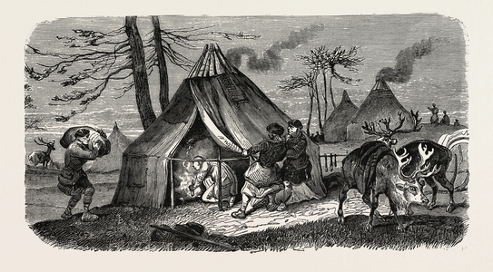 A Tungoose Encampment.