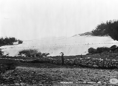 Sand hills in Bermuda 1873