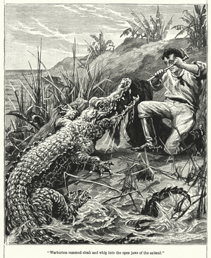 "Warburton rammed cloak and whip into the open jaws of the animal" (engraving)