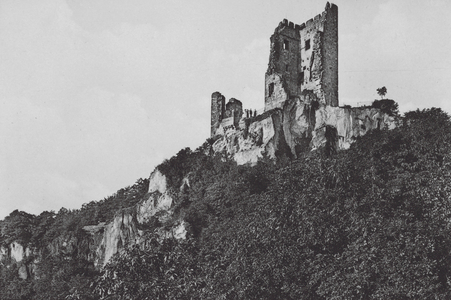 Der Rhein / The Rhine: Ruine Drachenfels (b/w photo)