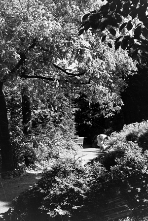Hotel guests relaxing in the garden of Hotel Wehrle in Triberg in the Black Forest, Germany 1930s (b/w photo)
