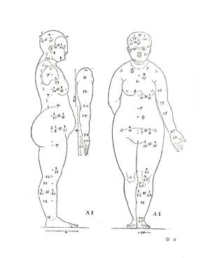 Anatomical illustration