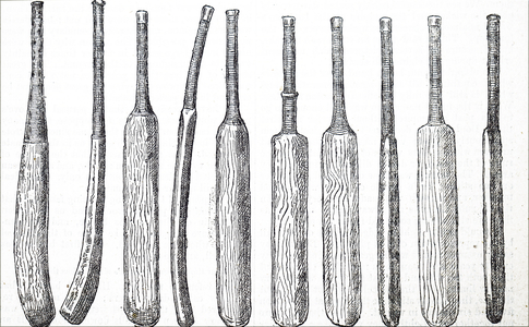 Various cricket bats