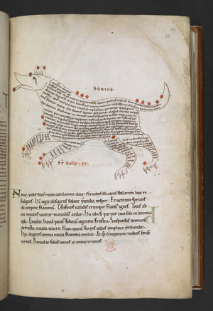 Cotton MS Tiberius C I f.28r 'Cicero, Aratea with scholiae; Germano-Roman Pontifical' (ink & colour on vellum)