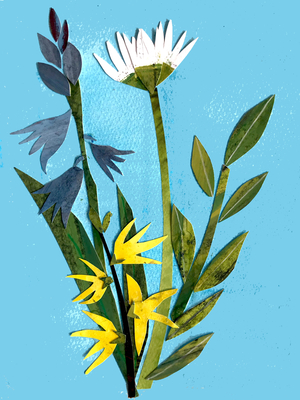 Spring flowers,2018 (collage)