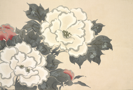 Fukami-Gusa, from Momoyo-gusa (The World of Things) Vol I, pub.1909 (colour block woodcut)