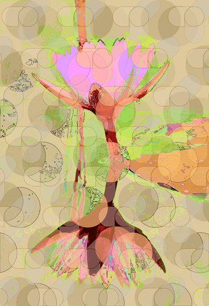 Water Lily Reflection, 2010 (digital)