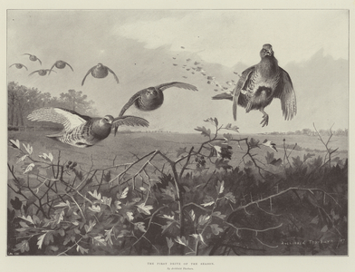 The First Drive of the Season (engraving)