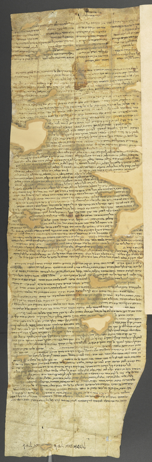 MS Or 5544.1 Letter of recommendation for Reuben van Isaac (ink on paper)