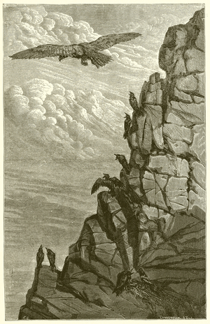 The Eagle and the Crow (engraving)