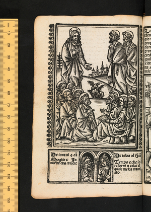Figures of the Old Testament, c1525-1531 (woodcut)