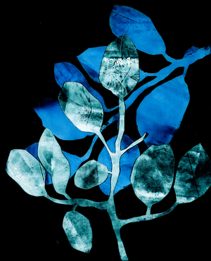 Nocturnal Garden, 2017 (digital, from a collagraph)