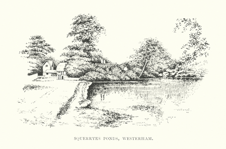 Squerryes Ponds, Westerham (litho)