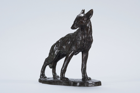 Alert Coyote (bronze)
