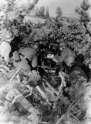 German anti-tank gun position on the Eastern Front, 1941 (b/w photo)