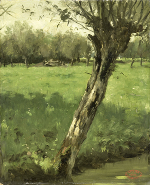 The Willow, 1873 (oil on cardboard)