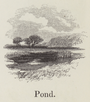 Pond (engraving)