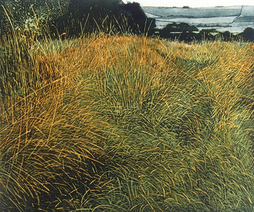 Spring Grass, 1975 (etching and aquatint)